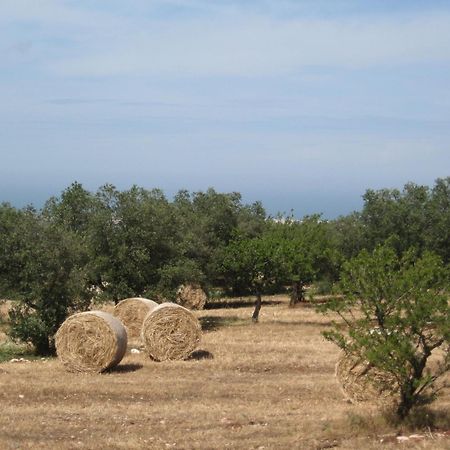 B&B Cinque Stalle Monopoli Buitenkant foto